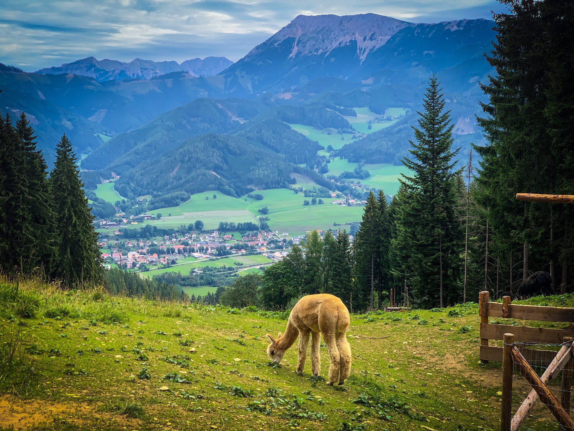 Mautern In Steiermark, Austria 2023: Best Places To Visit - Tripadvisor