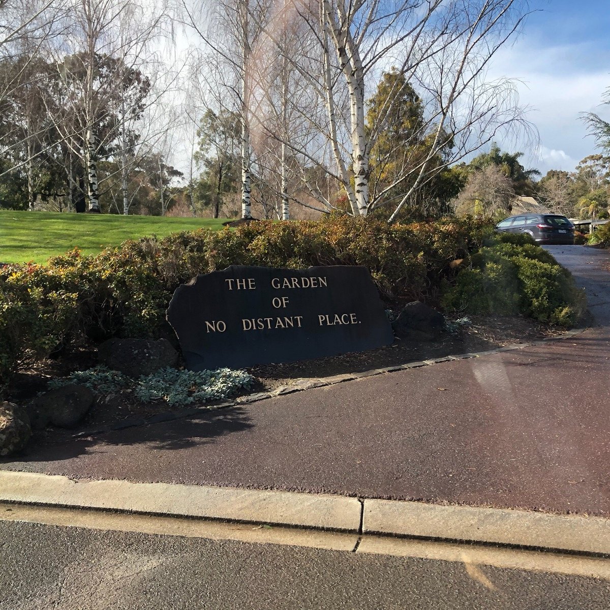 are dogs allowed at springvale cemetery