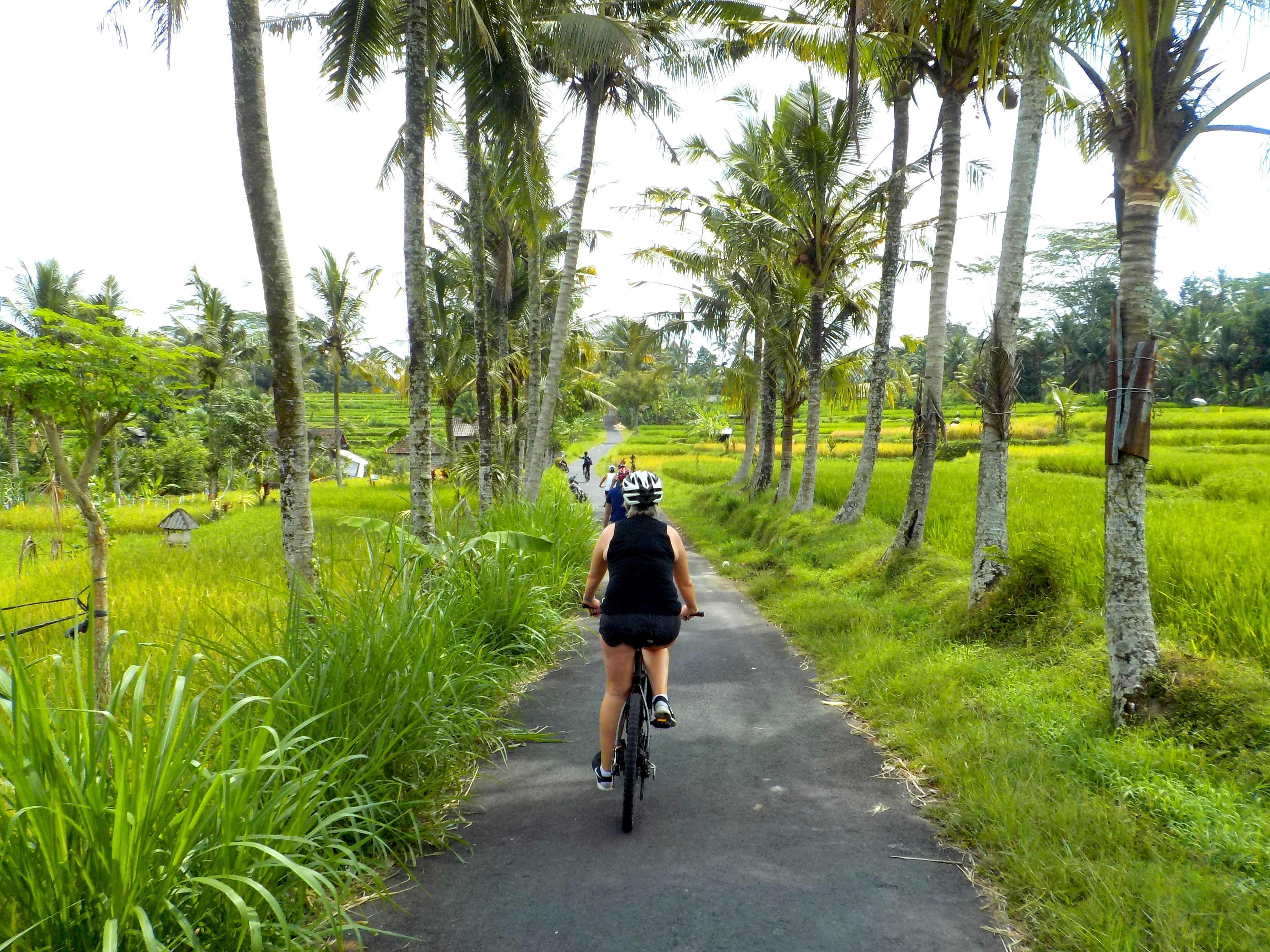 Ebikes bali store