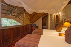 Room & Suite