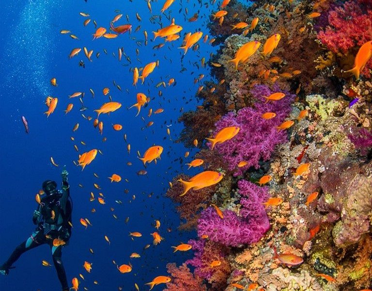 Rainbow Divers, Ho Chi Minh City