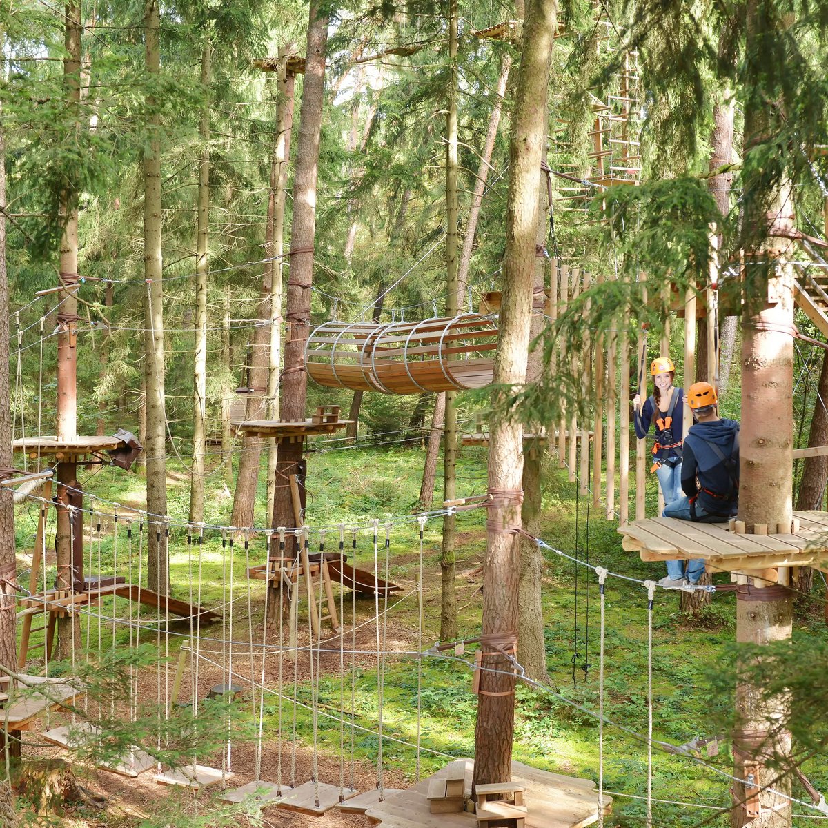 Münchner Wald Kletterwald Vaterstetten 2022 Lo que se debe saber