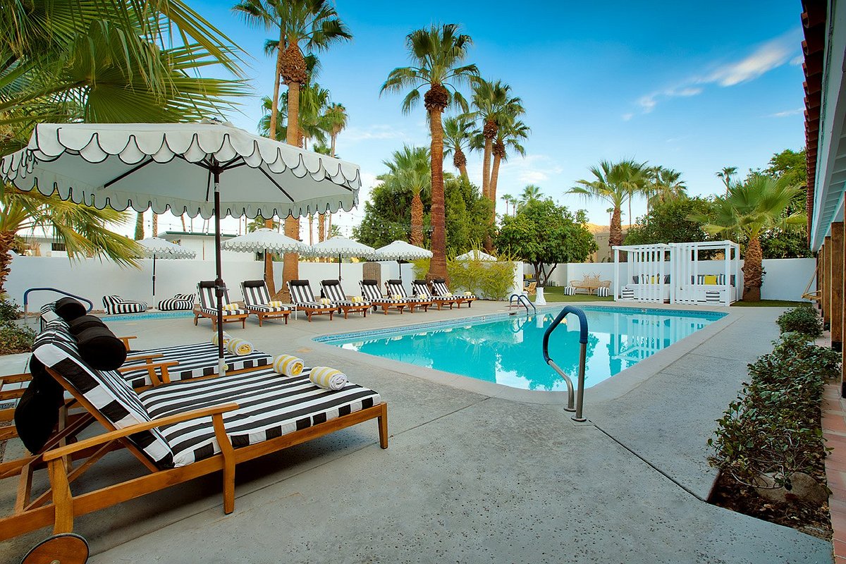Pet Friendly Hotels - Visit Palm Springs