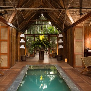 jungle cruise brazil