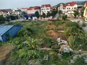 Cảnh nhìn từ phòng