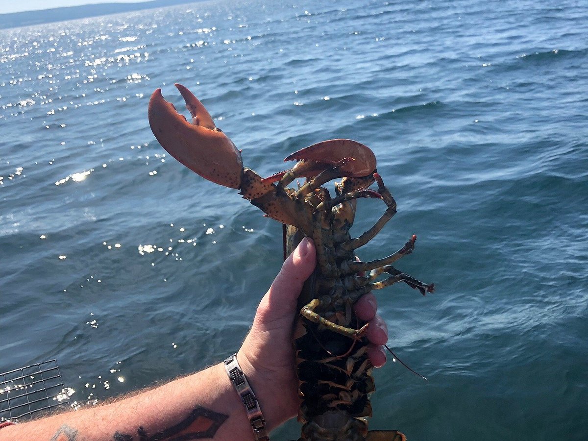 Cape Breton Lobster Adventure Tours - All You Need to Know BEFORE
