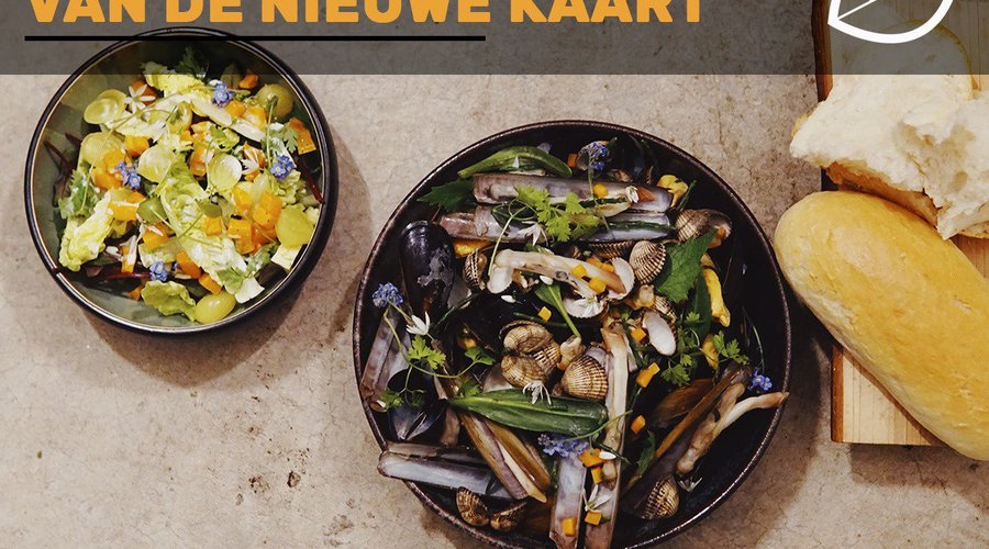 Schelpjes en groenten van het wad 