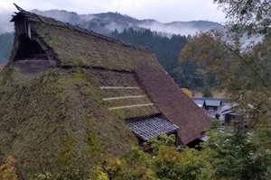 客室 & スイート