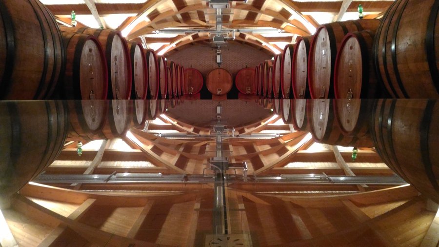 il cuore della Cantina : la bottaia