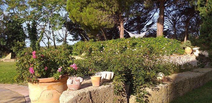 Flower Walls & Mediterranean Olive Trees at CATCH Restaurant
