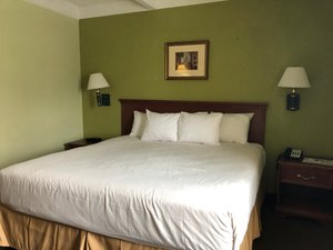 Room & Suite