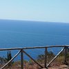 La Sirenetta