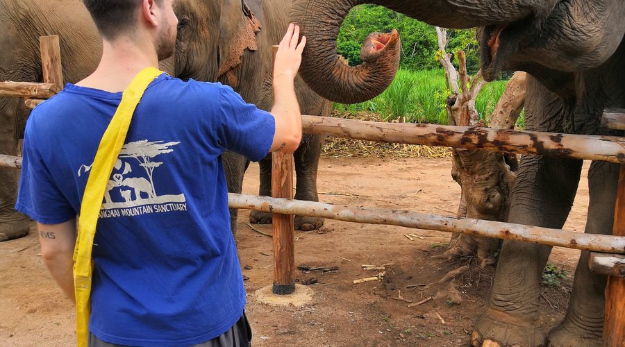 Le moment de les nourrir