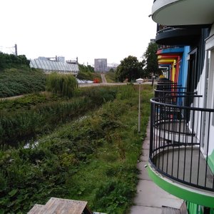 Outside