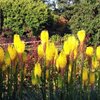 RHS Garden Hyde Hall