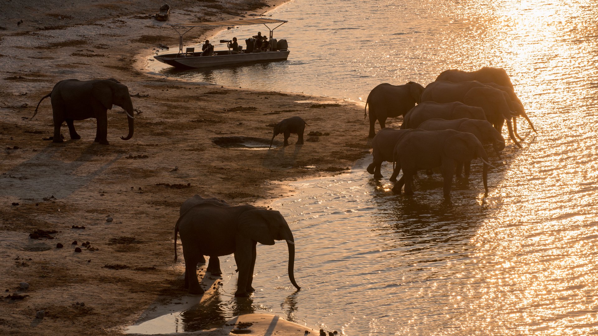 Chobe under shop canvas