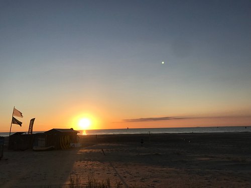 eiland safari tour vlieland
