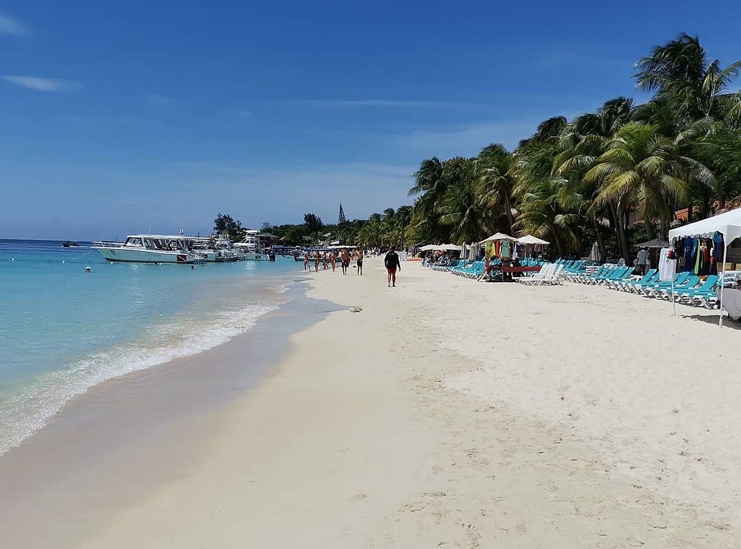 Roatan Taxi Tour Coxen Hole Atualizado 2022 O Que Saber Antes De Ir Sobre O Que As Pessoas 0613