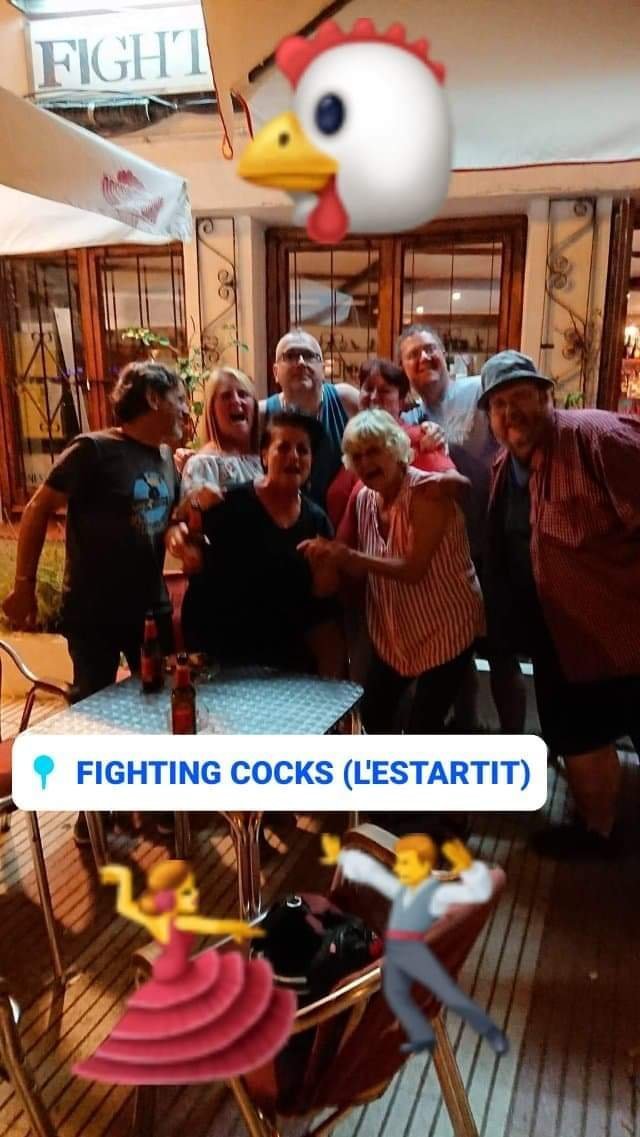 Imagen 7 de Fighting Cocks
