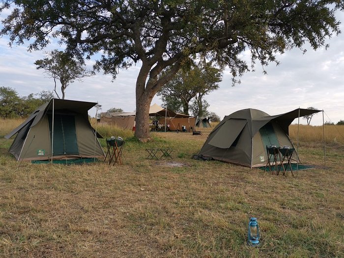 Our Top 5 Mobile Camps to Experience the Great Migration