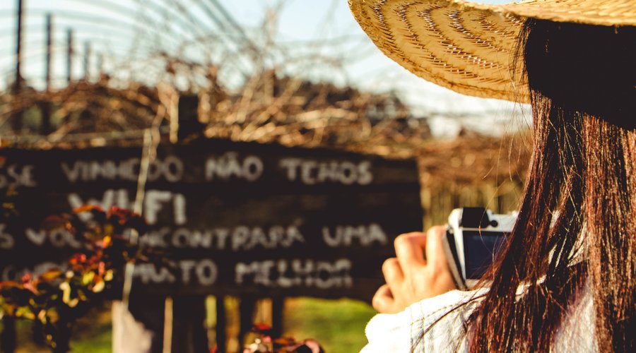 Nosso vinhedo de cepas antigas