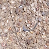 The infamous spoon in concrete!
