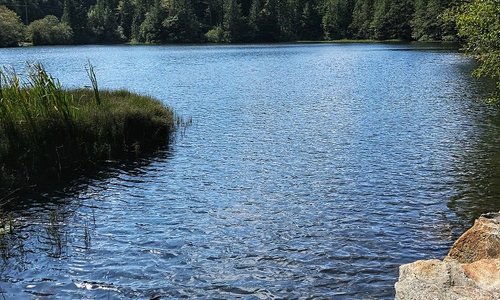 Browning Lake