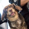 めーちゃんねる