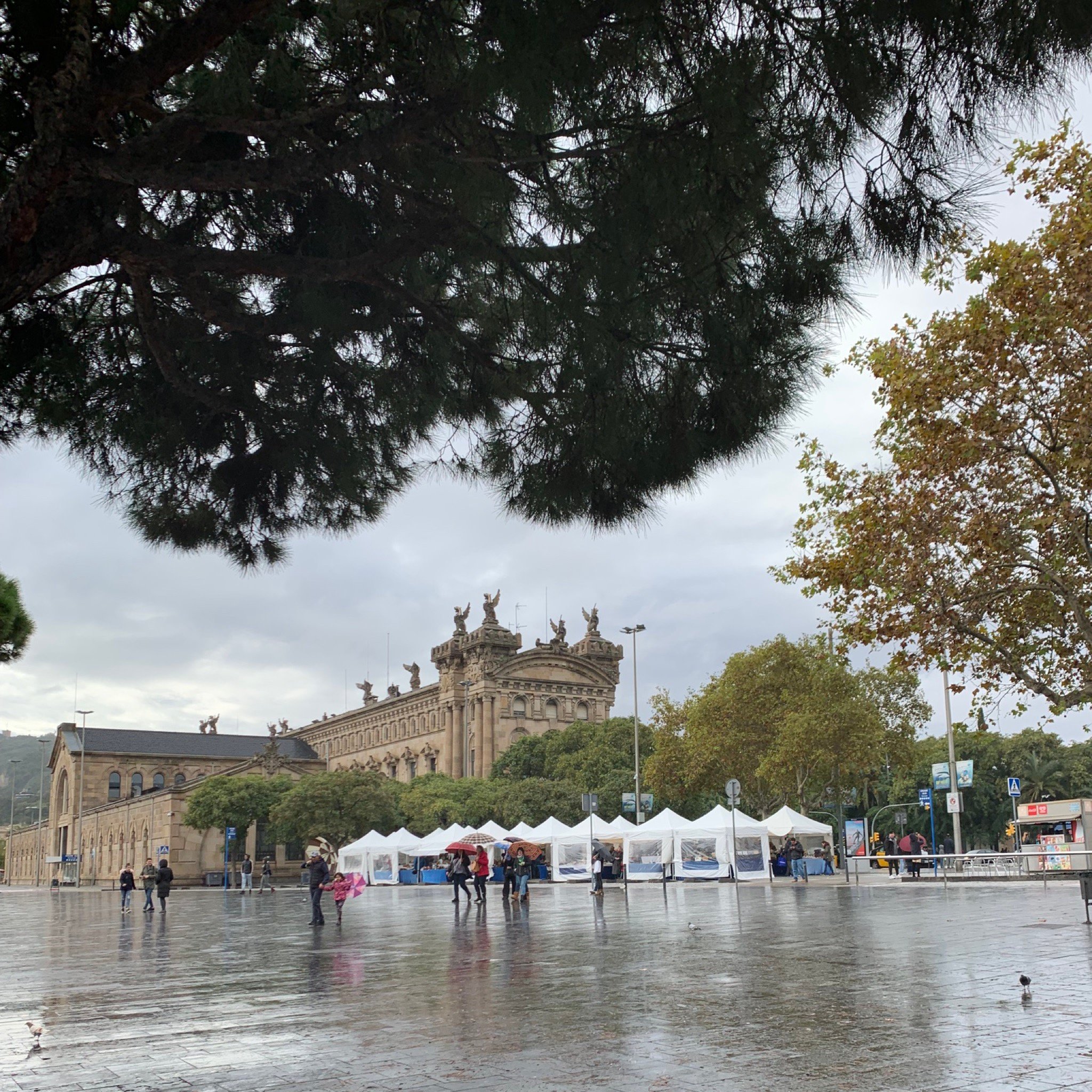 LAS RAMBLAS FAVORITO (Barcelona, Spanje) - Foto's En Reviews - Tripadvisor