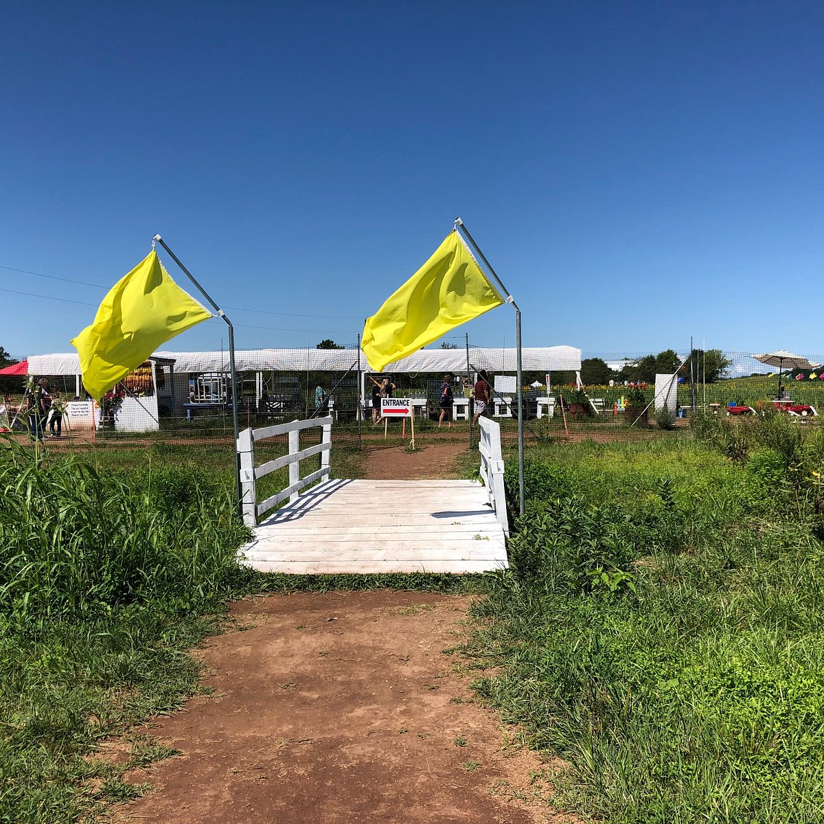 BURNSIDE FARMS (Nokesville): Ce qu'il faut savoir pour votre visite