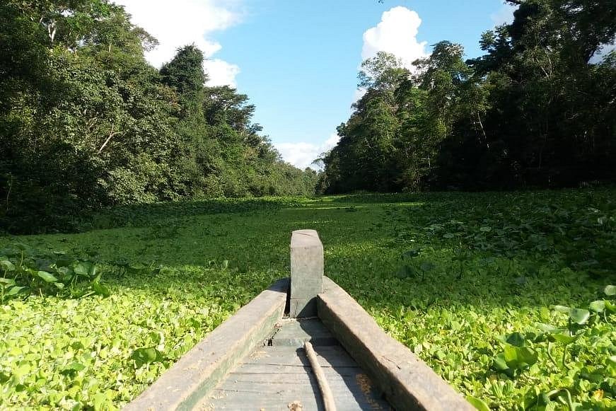 Amazonas Travels image