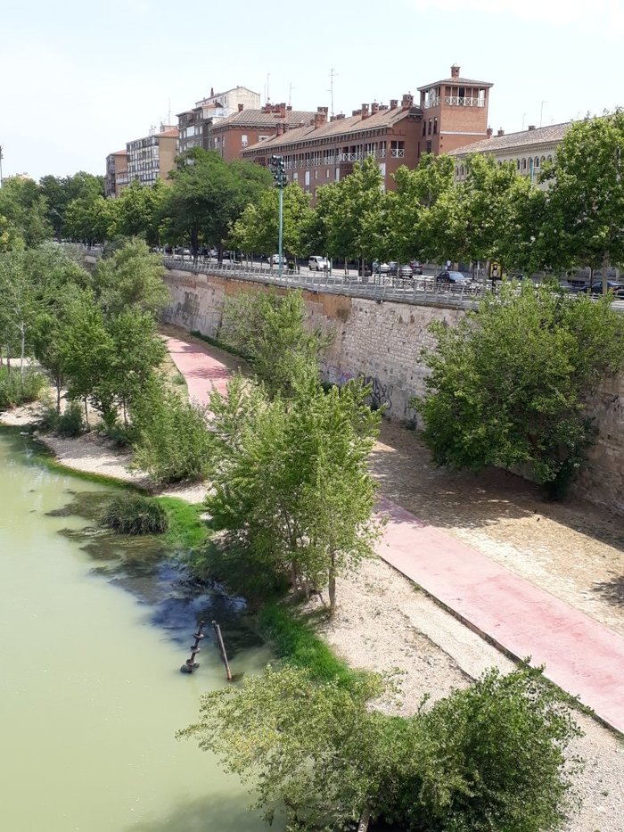 Imagen 2 de Canal Imperial de Aragón