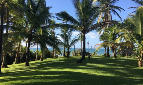 Front beach house