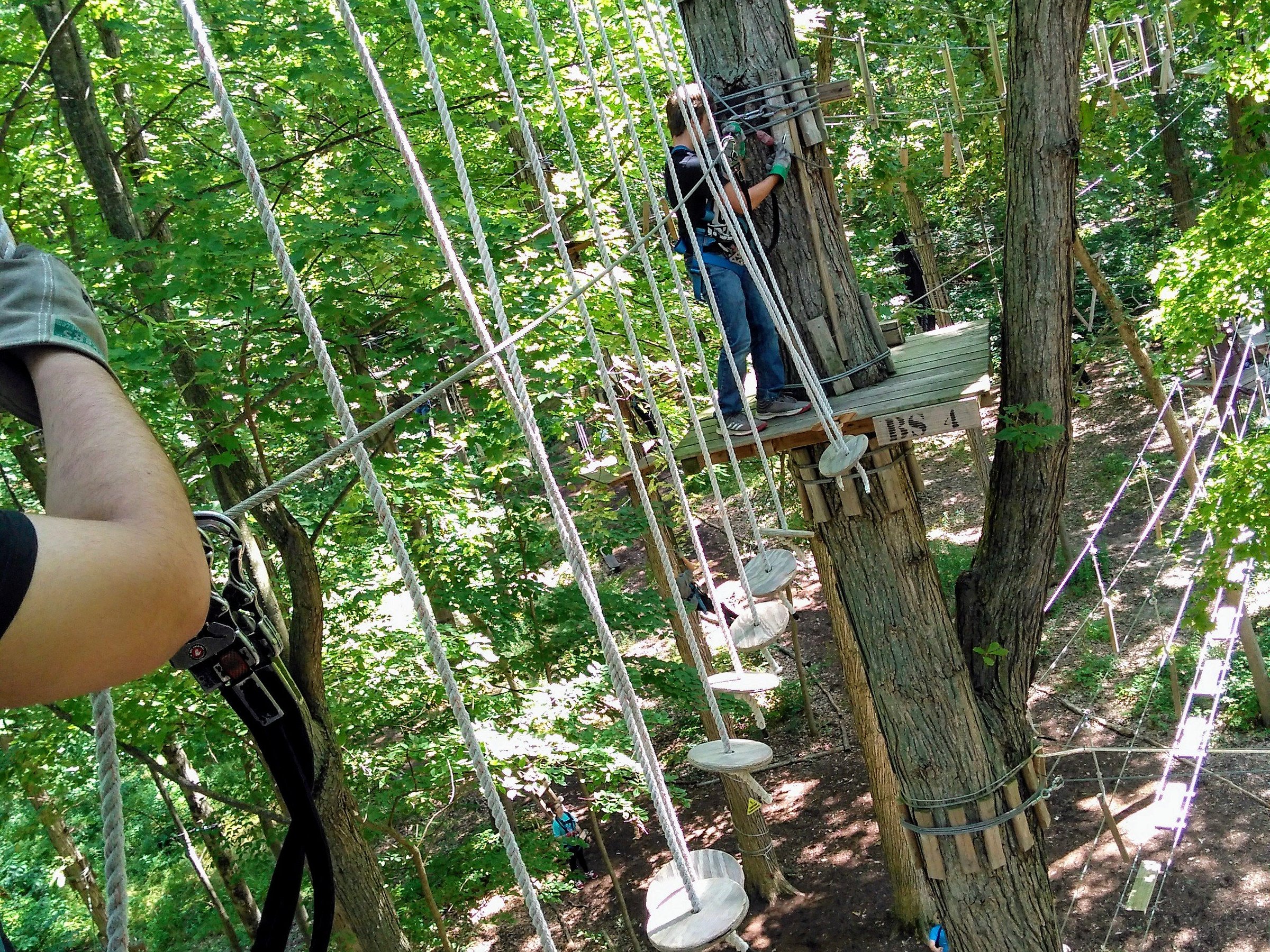 FRANKENMUTH AERIAL PARK 2023 Qué saber antes de ir Lo más comentado