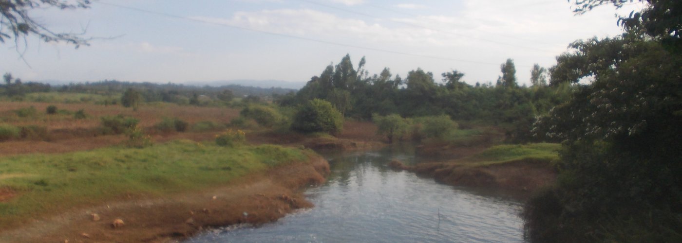 Boye river near Jimma, Ethiopia during summer. During rainy session Hippos are occasional visitor.