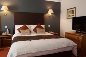 Room & Suite