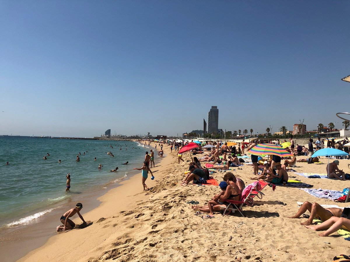 are dogs allowed in barcelona beaches