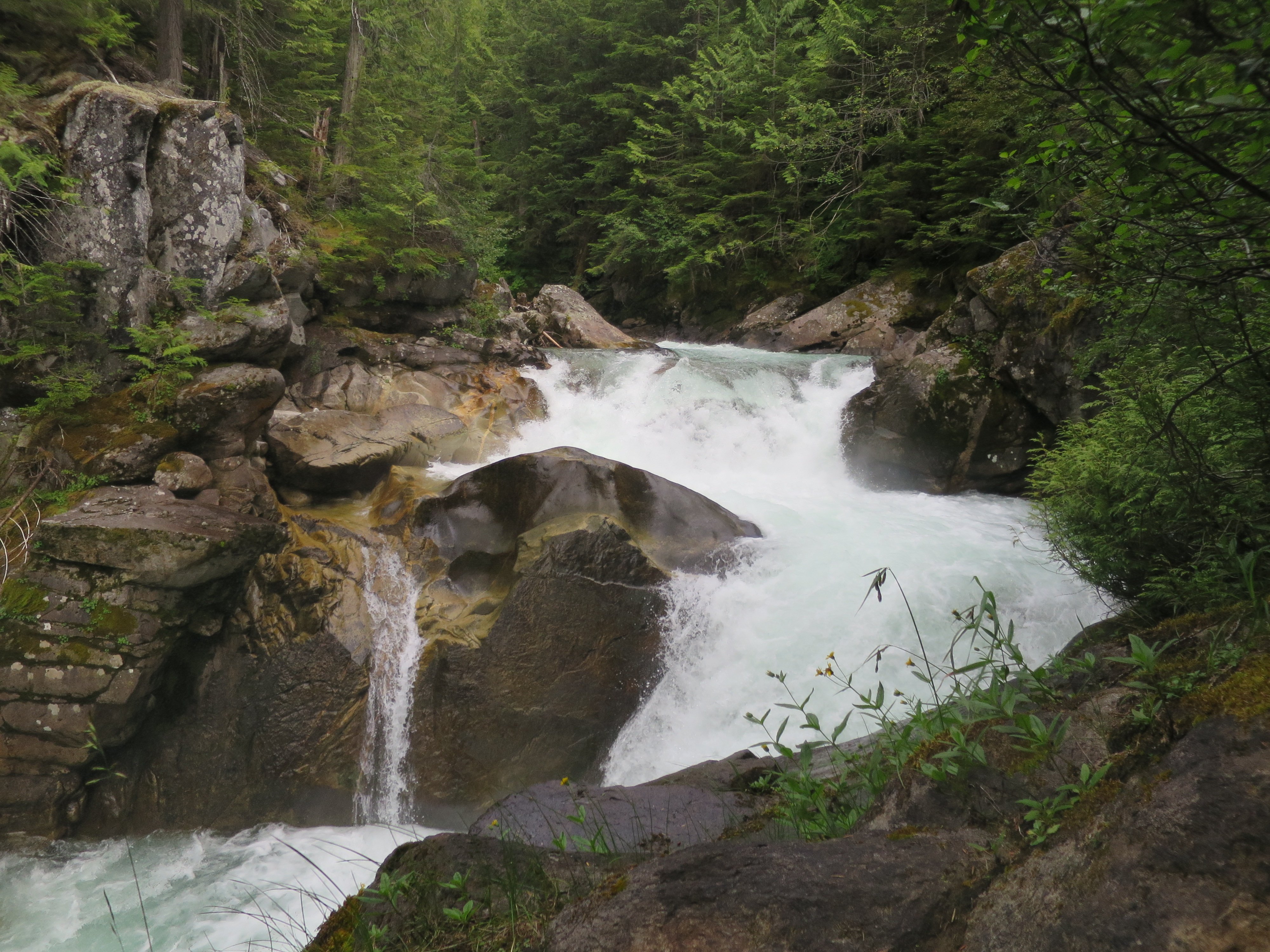 Nakusp, British Columbia 2023: Best Places To Visit - Tripadvisor