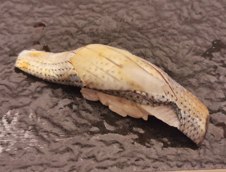 OMAKASE. SUSHI, Hong Kong - Tsim Sha Tsui - Restaurant Reviews, Photos & Phone Number - Tripadvisor