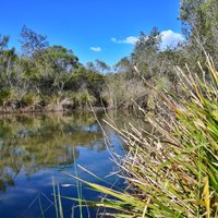 Berrinba Wetlands Park (Browns Plains): All You Need to Know