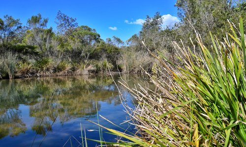 Browns Plains, Australia 2023: Best Places to Visit - Tripadvisor