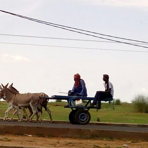 Sur la route du Fouta