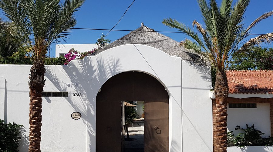 Step into our secret oasis...