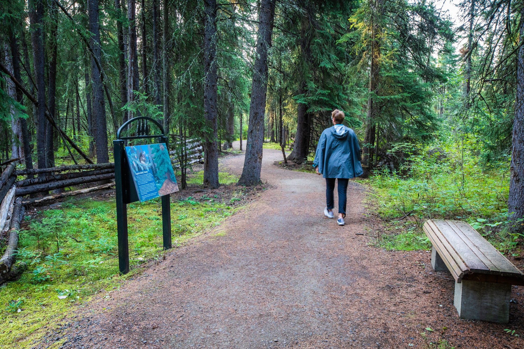 Bear Lodge @ Wedgewood Resort by null