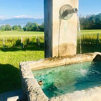 Domaine de la Dolle