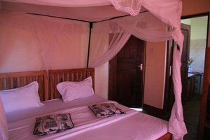 Room & Suite