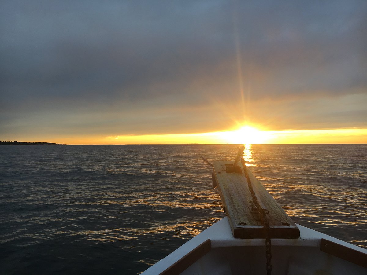 montauk-fishing-charters-all-you-need-to-know-before-you-go