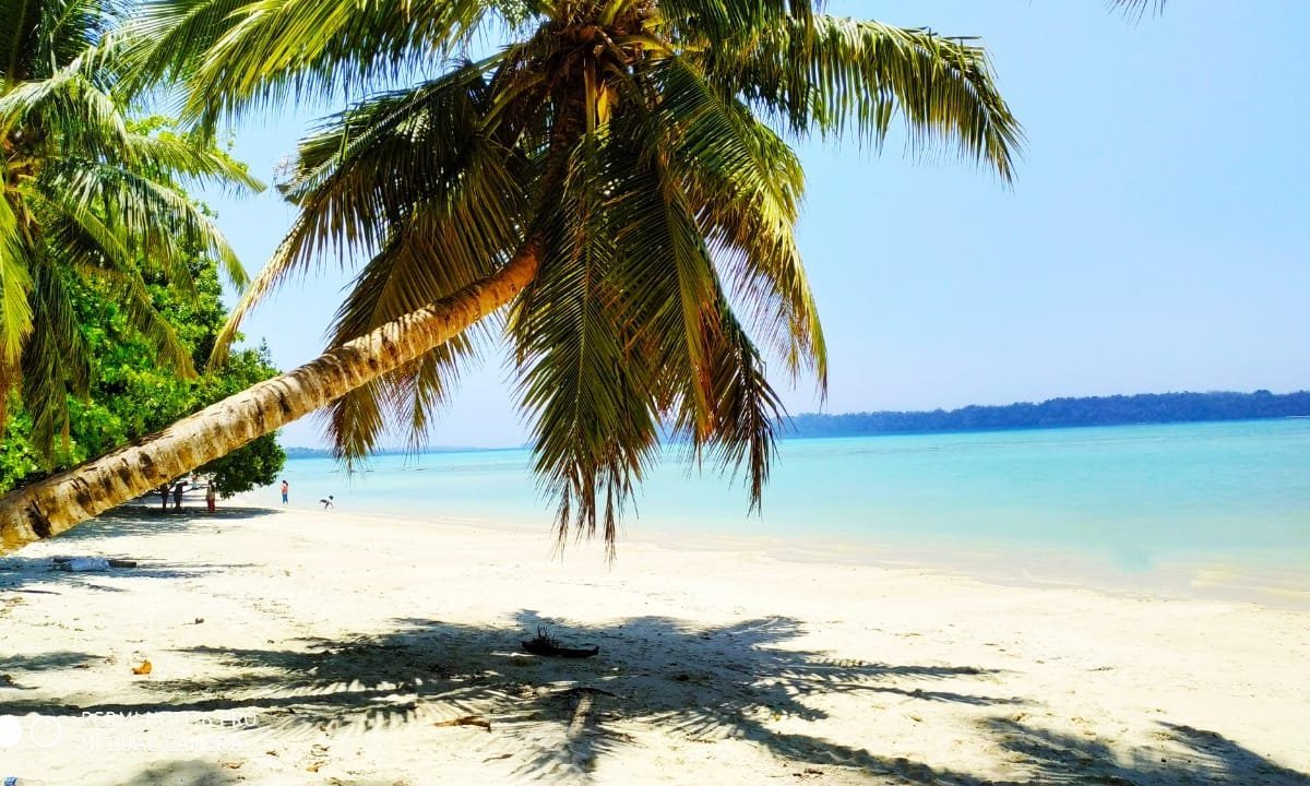 Travel De Andaman (Havelock Island) - All You Need to Know BEFORE You Go