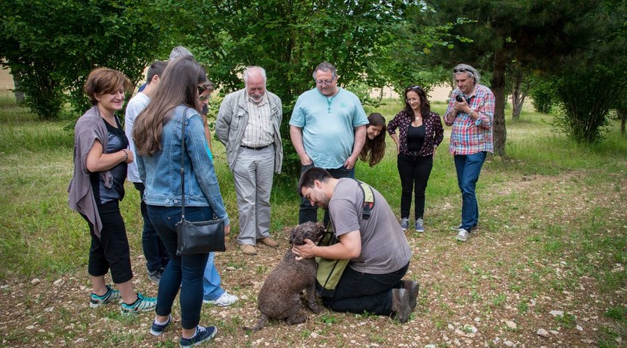 Démonstration de cavage avec Elfe