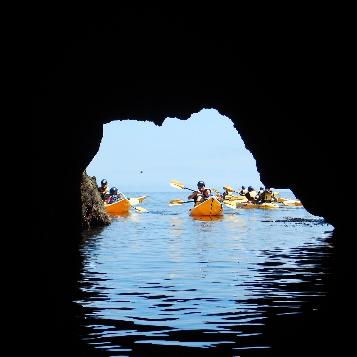 channel island tours oxnard